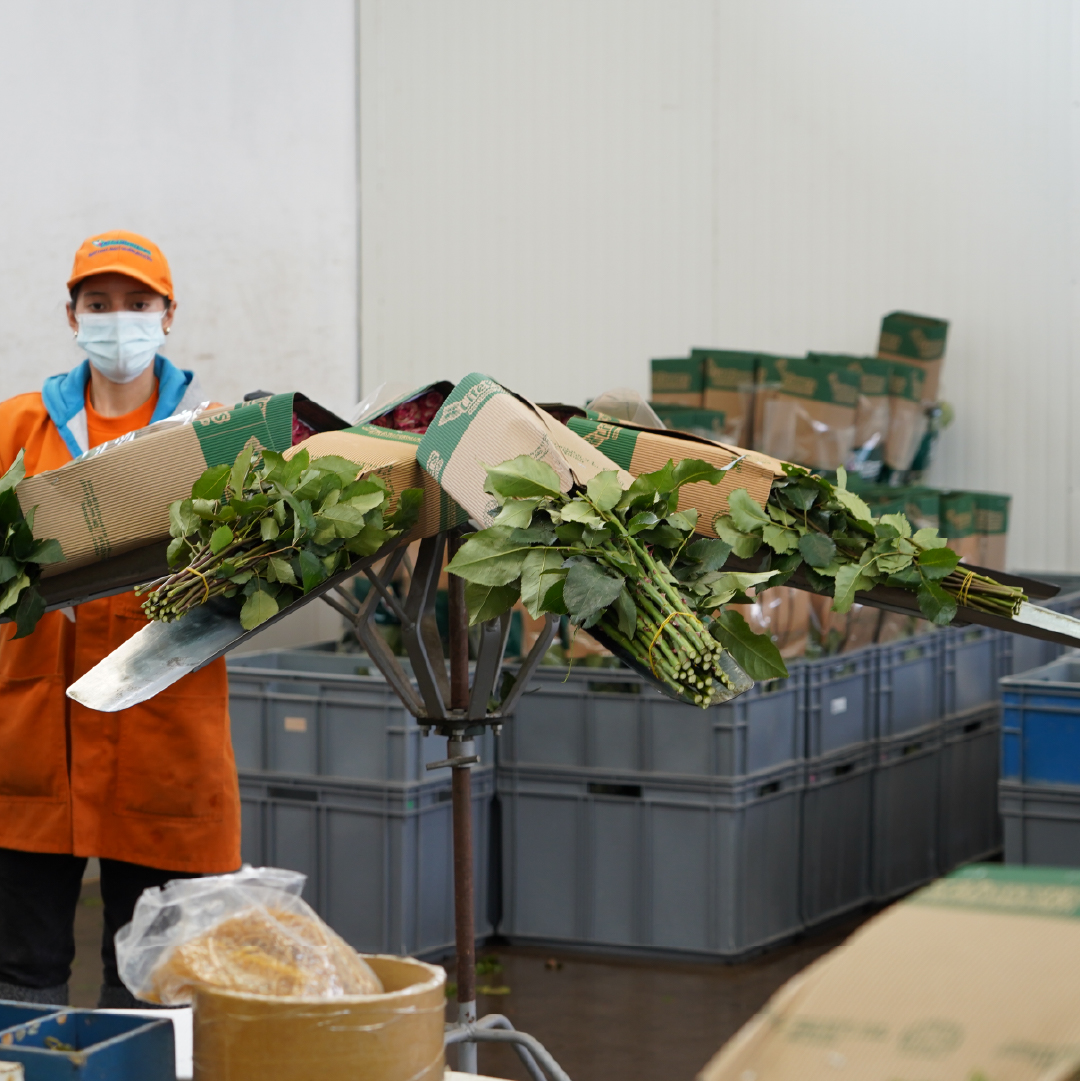 Sin títsdsdsulo-2_Mesa de trabajo 1 copia 8