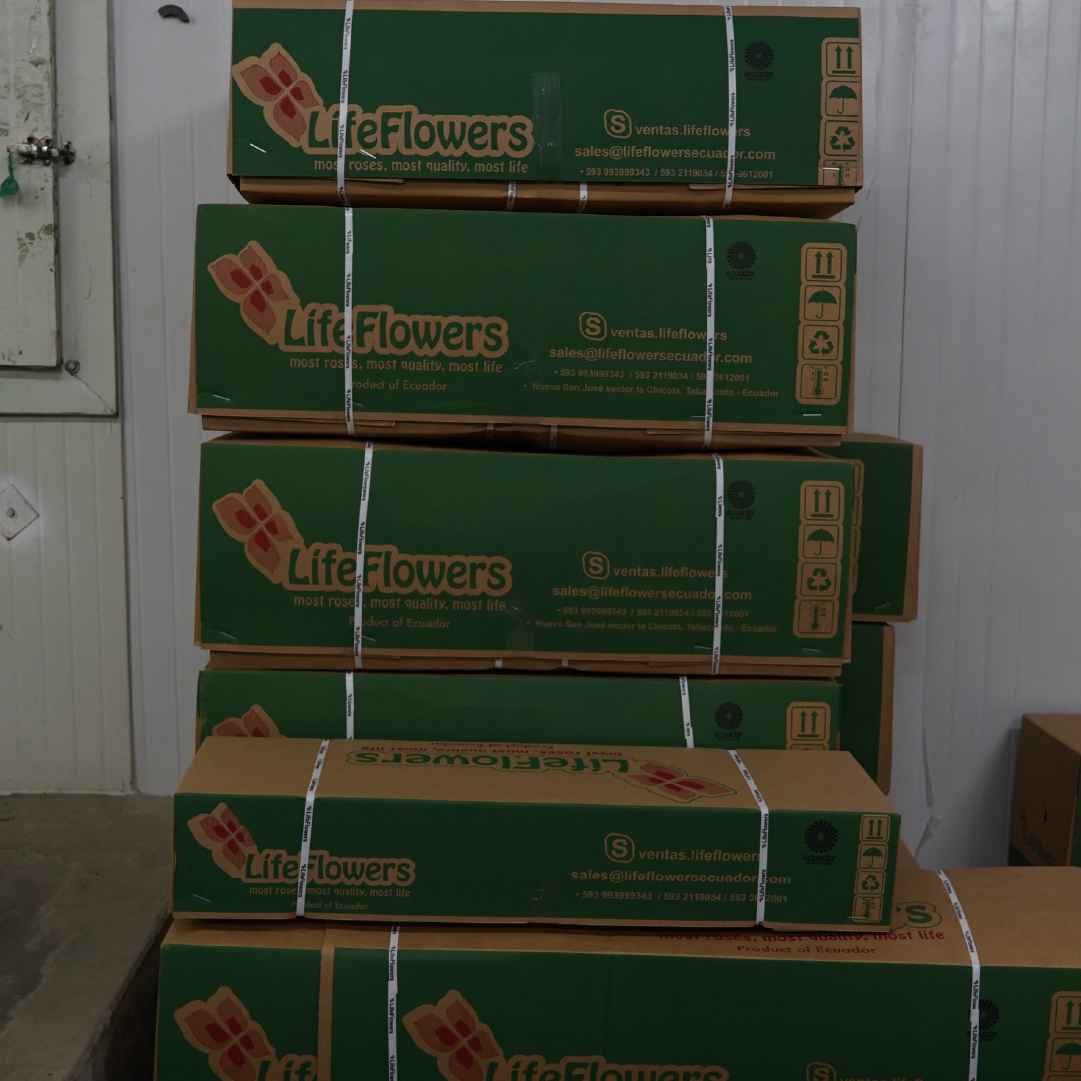 Sin tsdsdítulo-2_Mesa de trabajo 1 copia 5