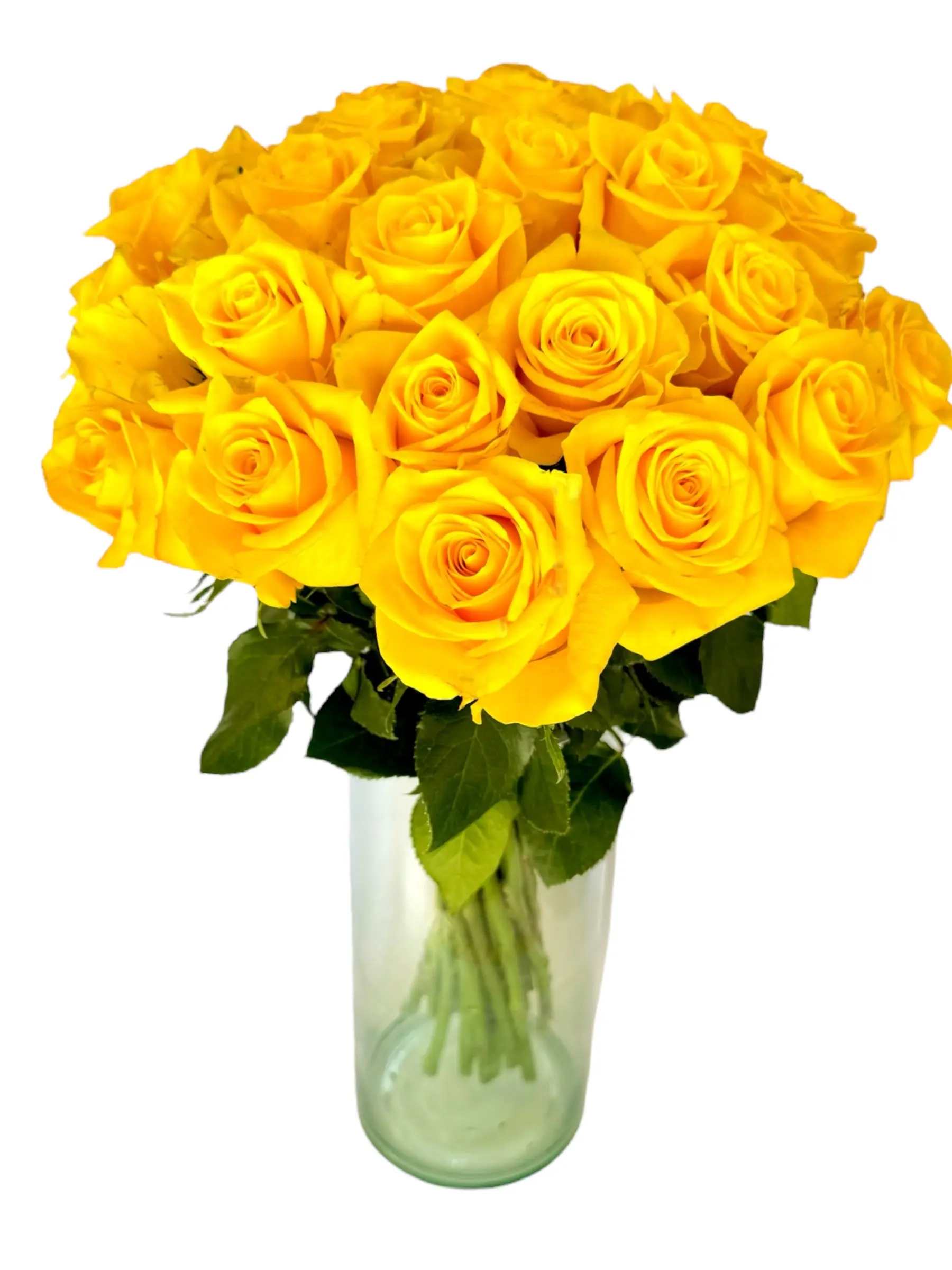 MOMENTUM LIFEFLOWERS (1)