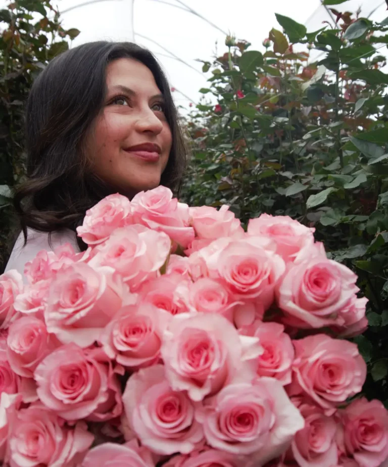 Ramo de rosas lifeflowers